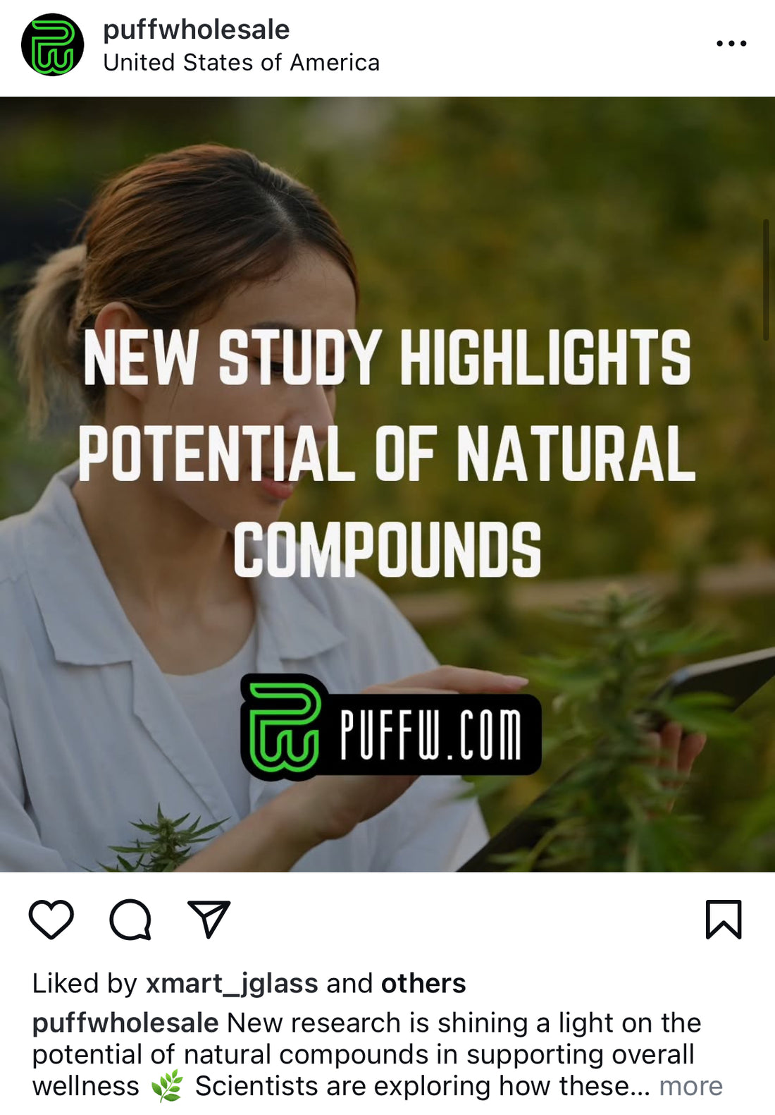 Puff Wholesale