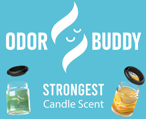 Odor Buddy Candle w/ Ashtray Lid